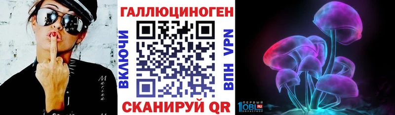 где можно купить   Кочубеевское  Псилоцибиновые грибы мицелий 